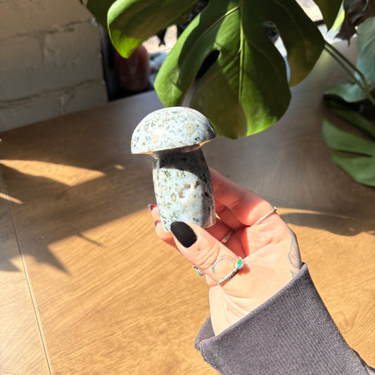 ocean jasper mushroom