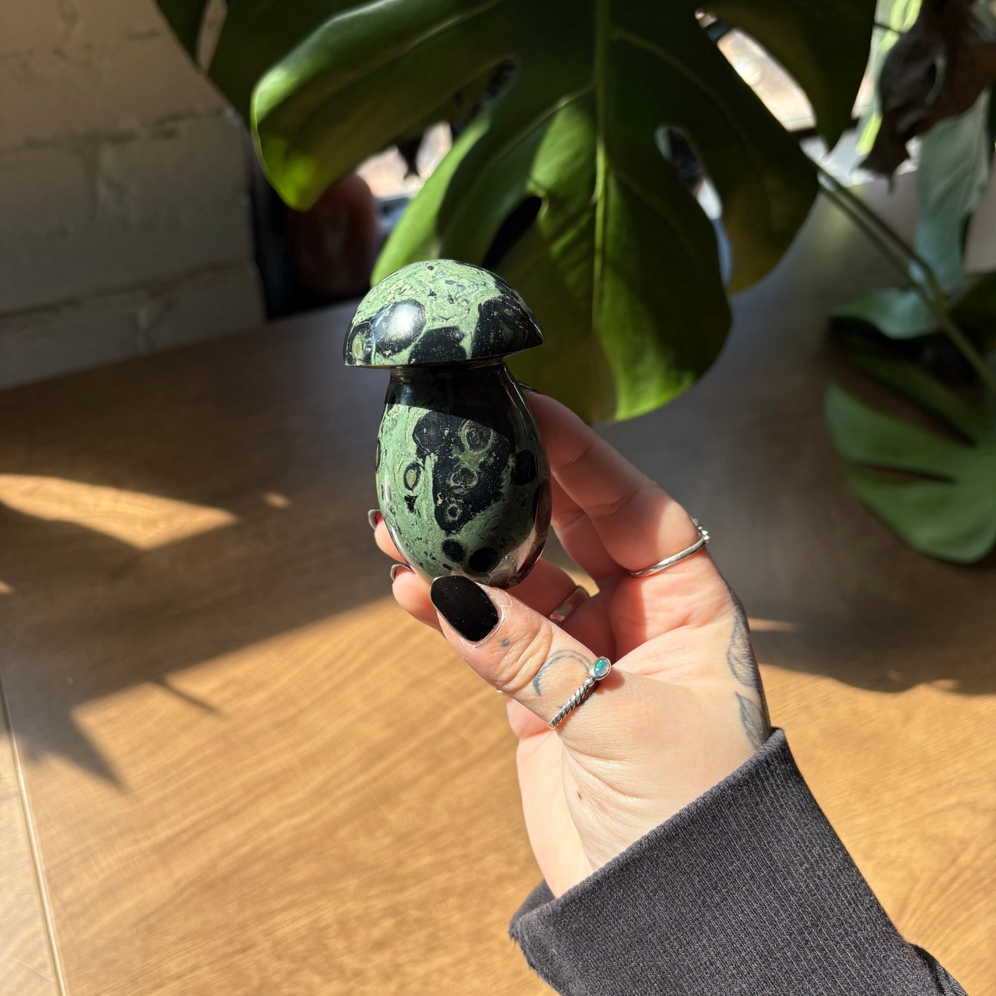 kambaba jasper mushroom