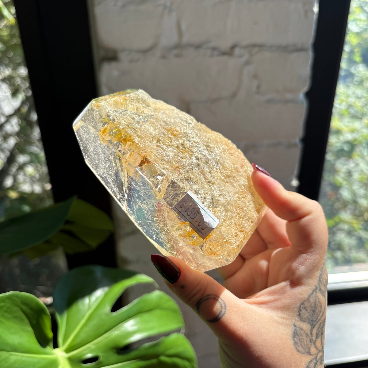 golden healer freeform