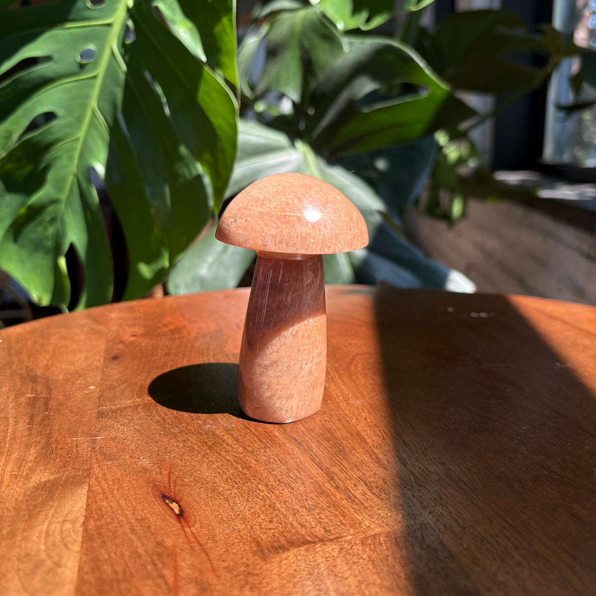 peach moonstone mushroom
