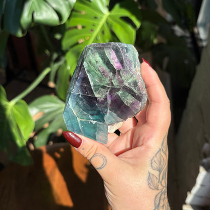 semi polished fluorite