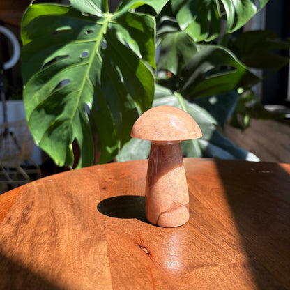 peach moonstone mushroom