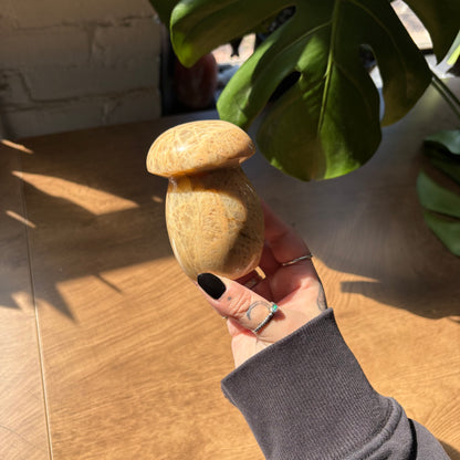 peach moonstone mushroom