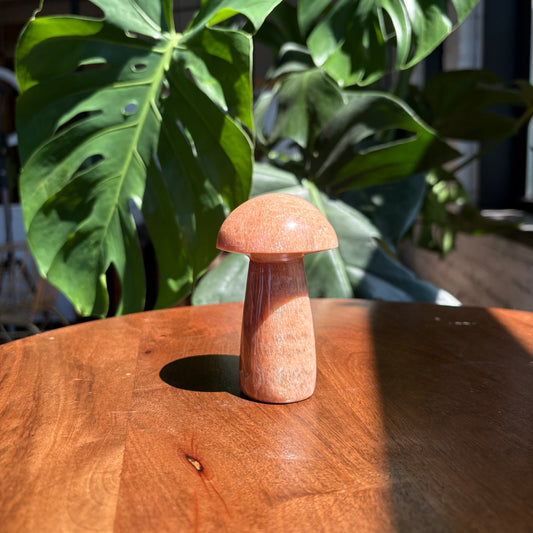peach moonstone mushroom