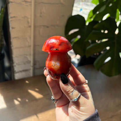 carnelian mushroom