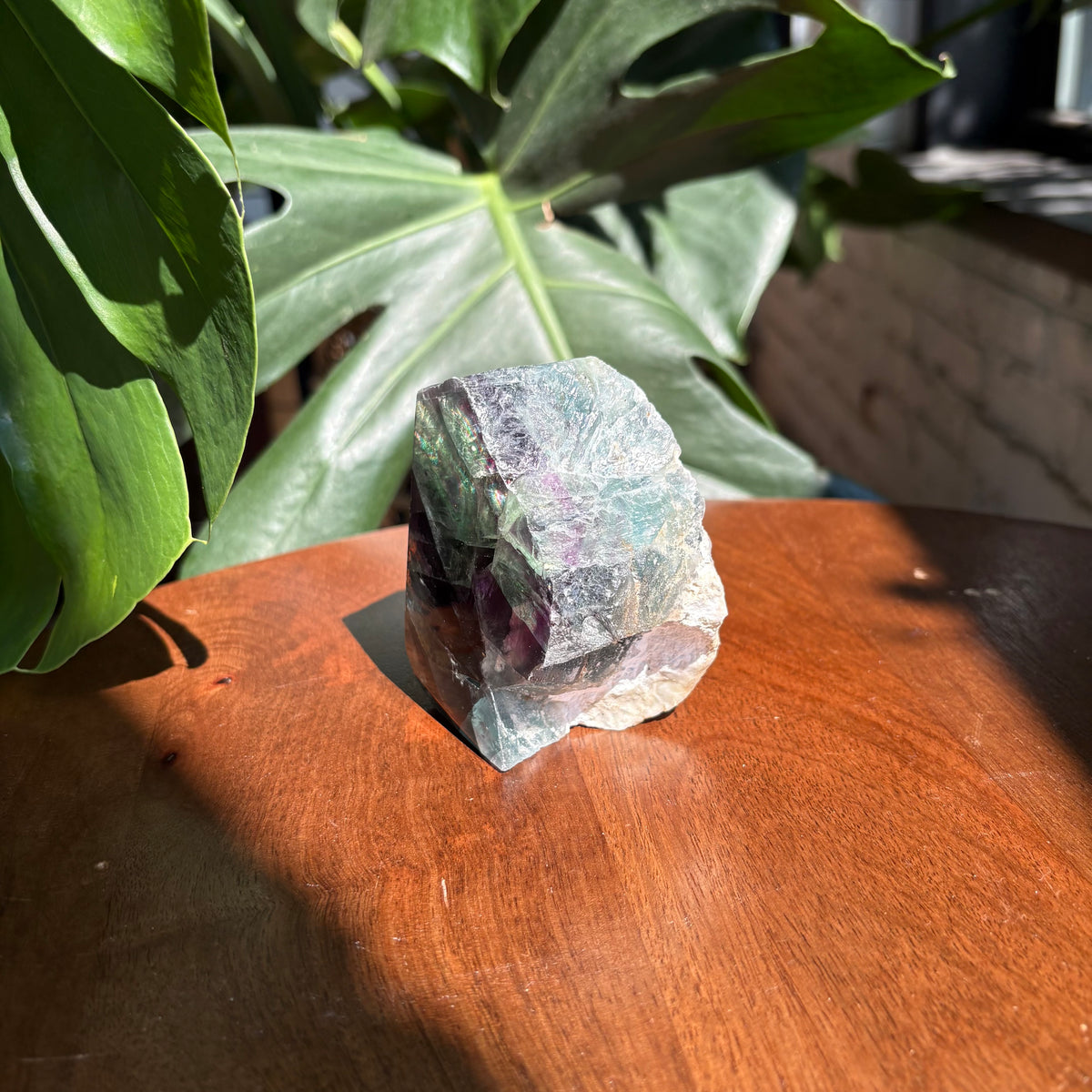 semi polished fluorite