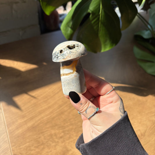 ocean jasper mushroom