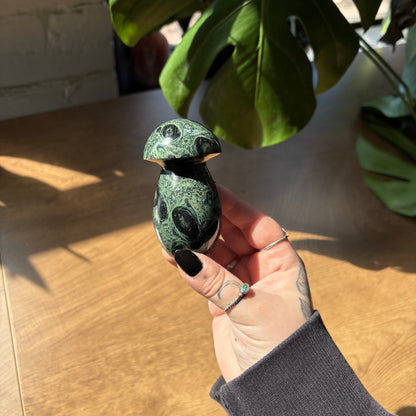 kambaba jasper mushroom