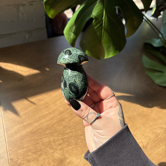 kambaba jasper mushroom