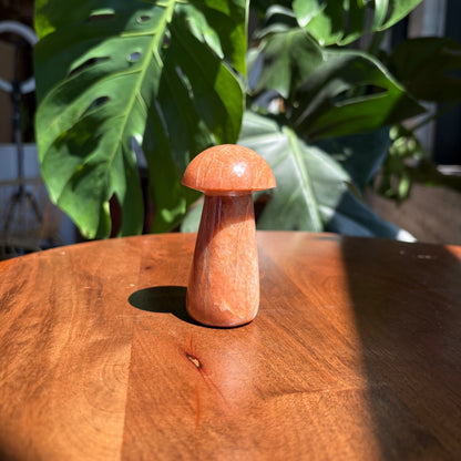 peach moonstone mushroom