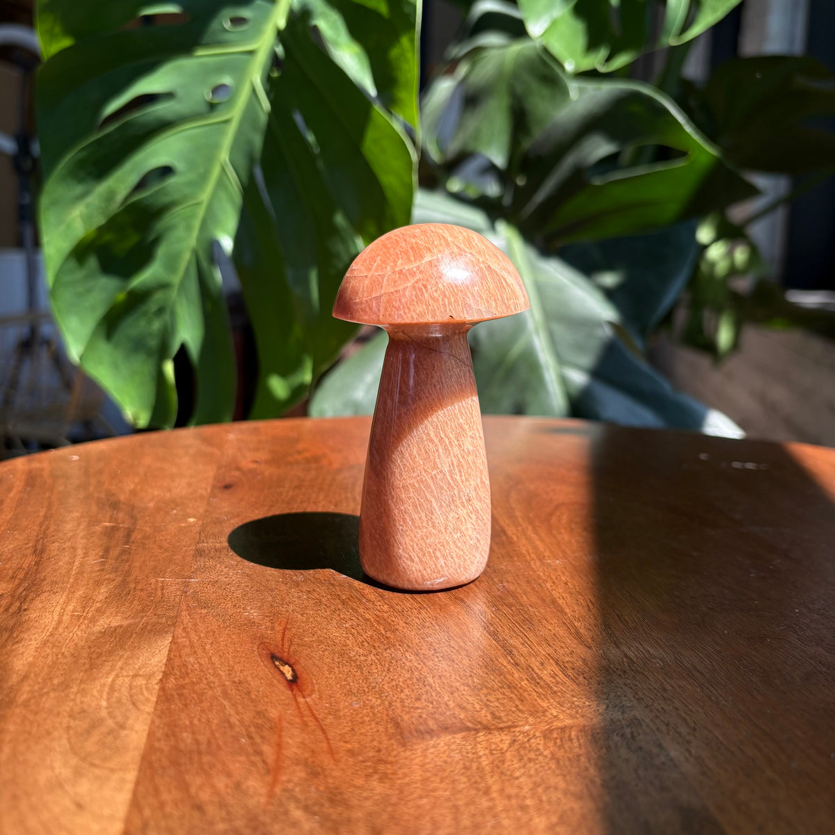 peach moonstone mushroom