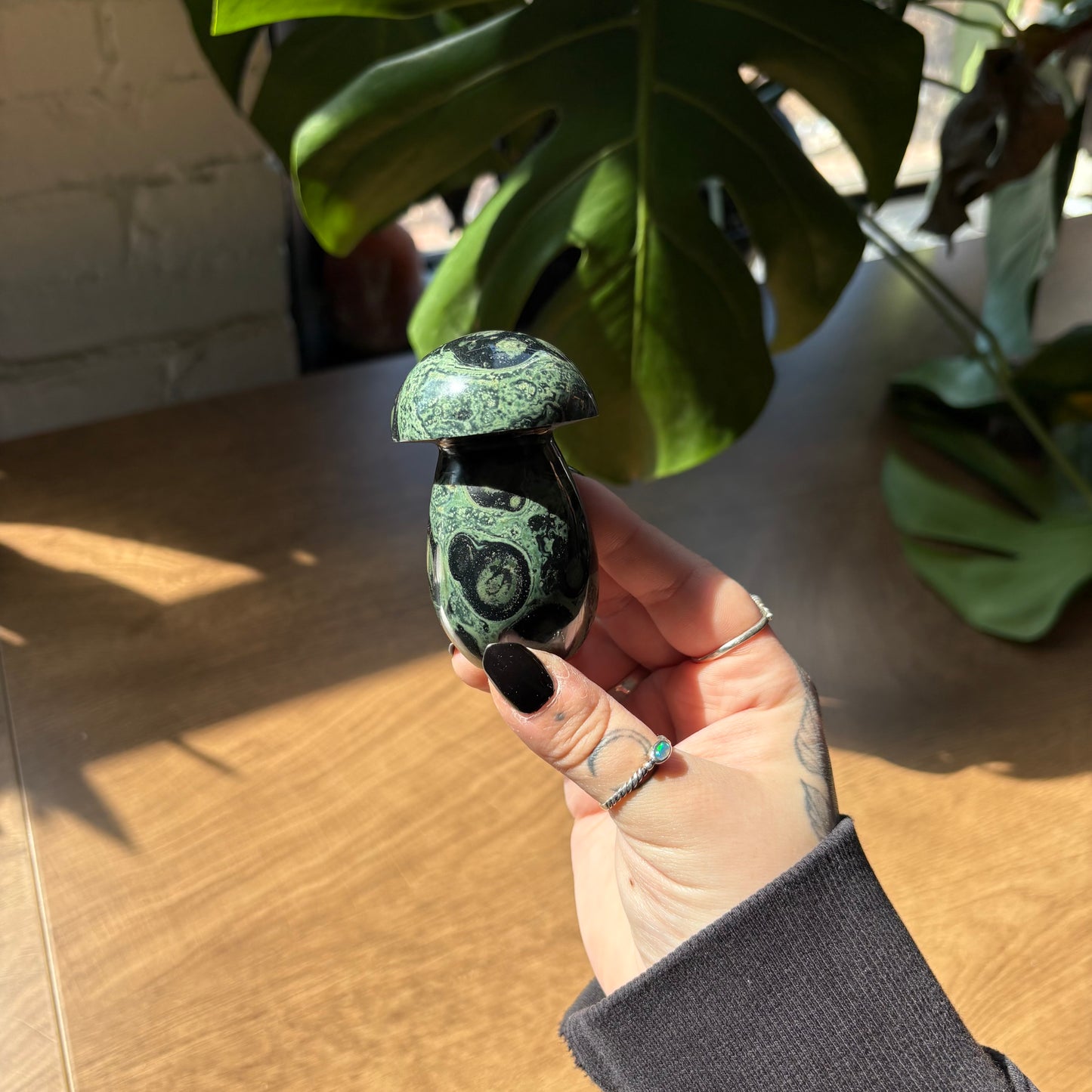 kambaba jasper mushroom